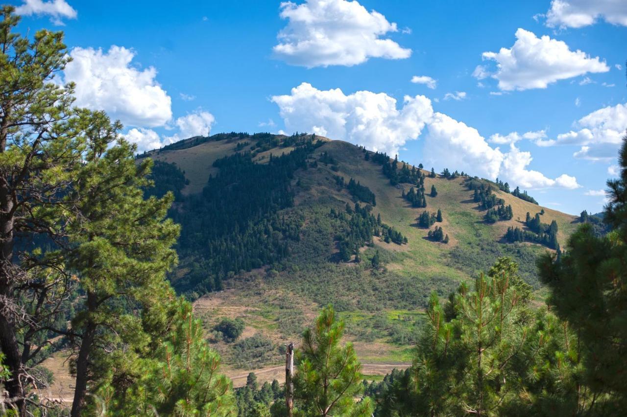 Huge Ruidoso Retreat With Game Room, Pool, 2 Balconies, 2 Kitchens - Sleeps 17! Exterior foto
